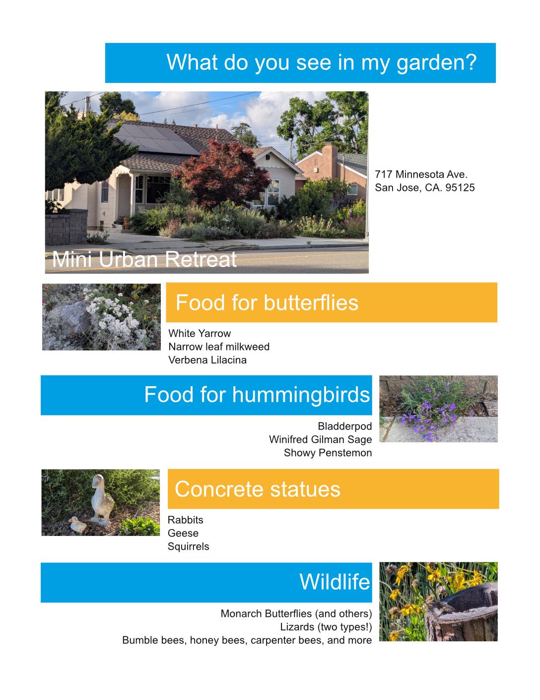 What to look for in my garden when you visit during the Growing Natives Garden Tour.