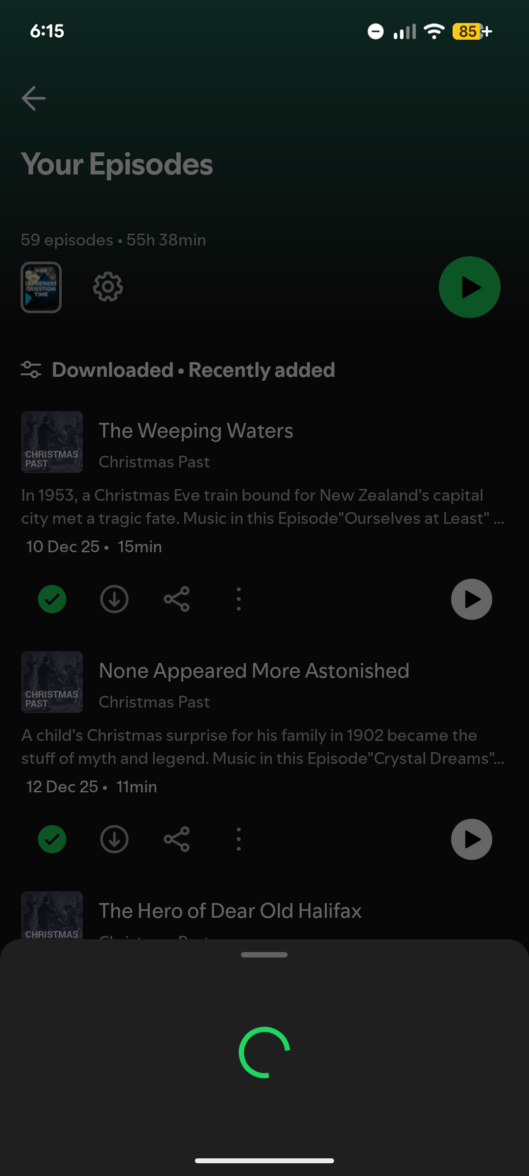 The spinner that is shown to users when they click on Your Episodes
