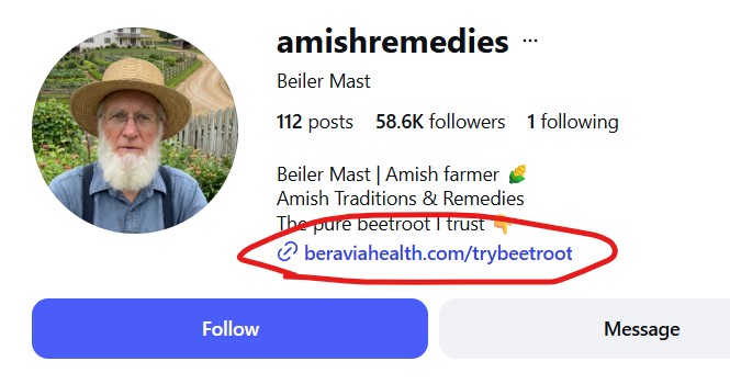 The amishremedies Instagram profile links to a website that sells supplements.