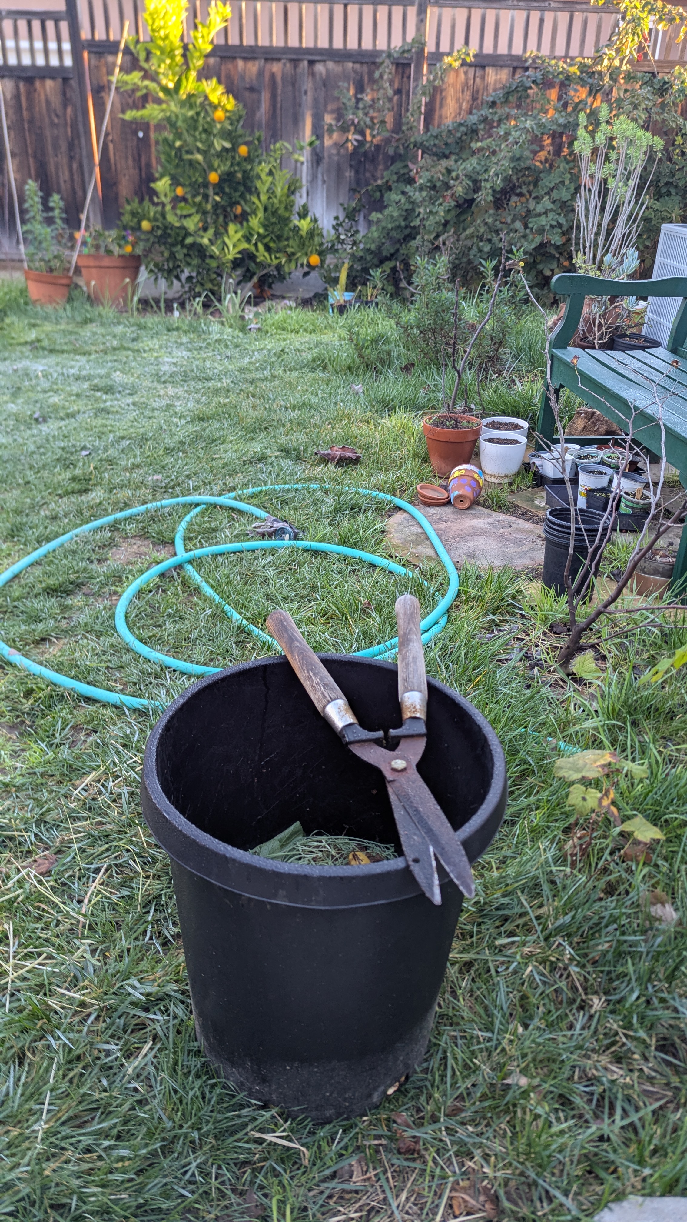 A picture of my poor, abused clippers that I left outside overnight.