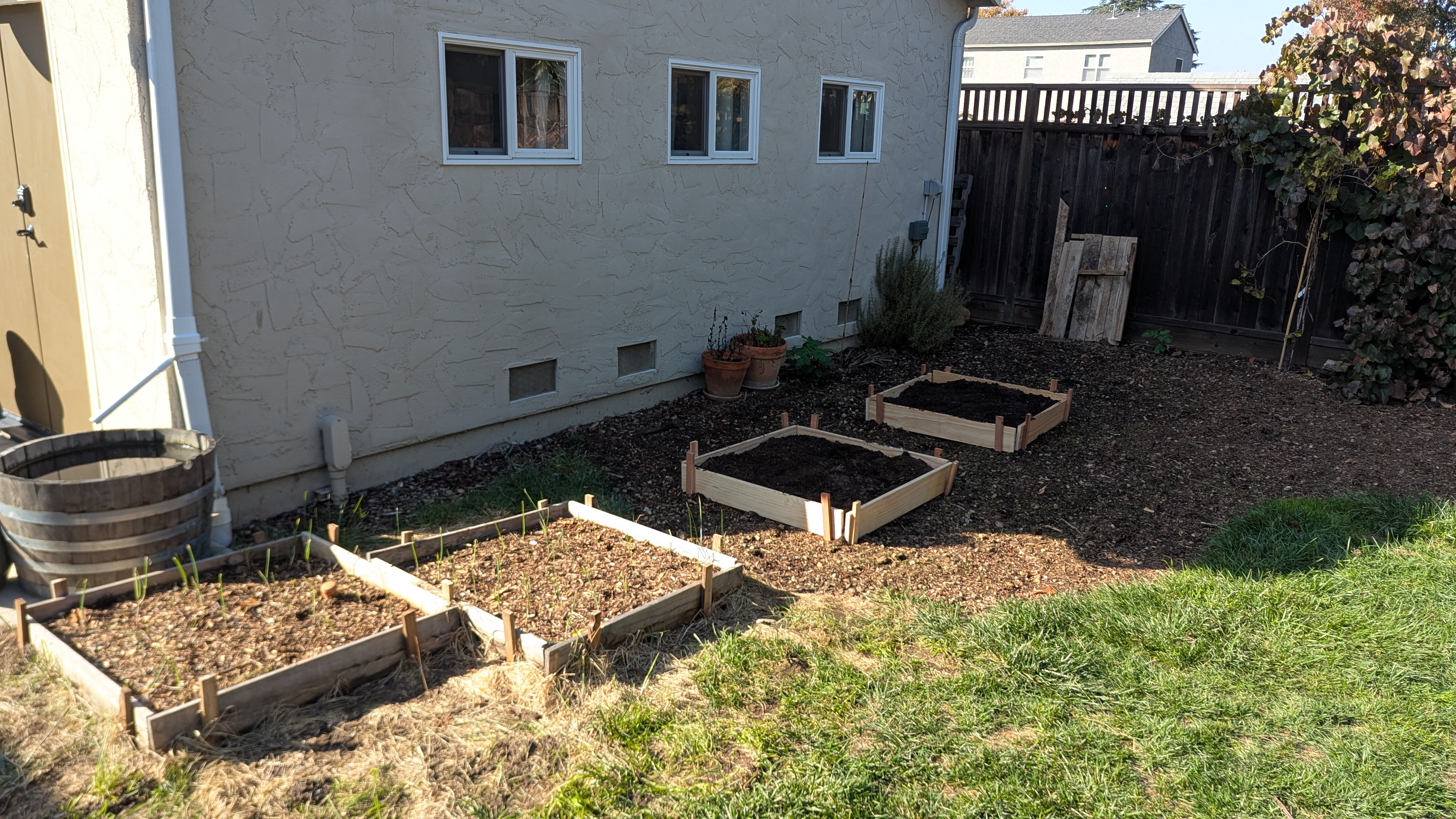 Shallow raised beds have most of the advantages of raised beds and most of the advantages of planting directly into the soil.
